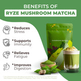 Mushroom Matcha, USDA Organic with 6 Adaptogenic Mushrooms and Ceremonial-Grade Japanese Matcha, Energy, Focus, Digestion, Immunity with Cordyceps, Lion’s Mane, Reishi, Turkey Tail, 30 servings
