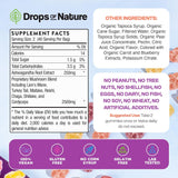 Ashwagandha and Lions Mane Mushroom Supplement Gummies - Organic - Reishi, Cordyceps, Turkey Tail, Maitake, Shitake, Chaga - Immune Defense, Boosts Cognitive Performance, Vegan, Low Carb