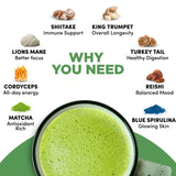 Mushroom Matcha, USDA Organic with 6 Adaptogenic Mushrooms and Ceremonial-Grade Japanese Matcha, Energy, Focus, Digestion, Immunity with Cordyceps, Lion’s Mane, Reishi, Turkey Tail, 30 servings