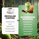 Mushroom Matcha, USDA Organic with 6 Adaptogenic Mushrooms and Ceremonial-Grade Japanese Matcha, Energy, Focus, Digestion, Immunity with Cordyceps, Lion’s Mane, Reishi, Turkey Tail, 30 servings